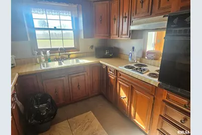 3830 Il-147 Route, Vienna, IL 62995 - Photo 5