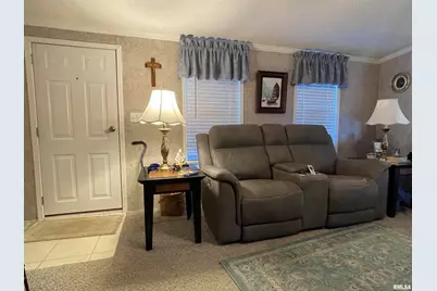 557 Twin Oaks Drive, Cobden, IL 62920 - Photo 19