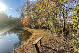 557 Twin Oaks Dr, Cobden, IL 62920 - Photo 41