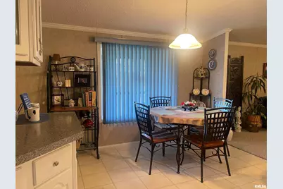 557 Twin Oaks Drive, Cobden, IL 62920 - Photo 21