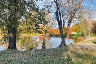 557 Twin Oaks Dr, Cobden, IL 62920 - Photo 49