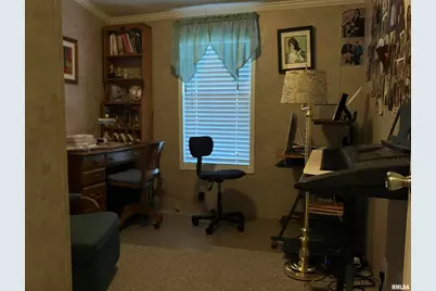 557 Twin Oaks Drive, Cobden, IL 62920 - Photo 27