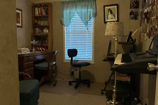 557 Twin Oaks Dr, Cobden, IL 62920 - Photo 27