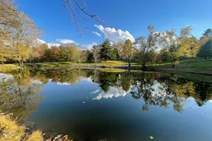 557 Twin Oaks Dr, Cobden, IL 62920 - Photo 47