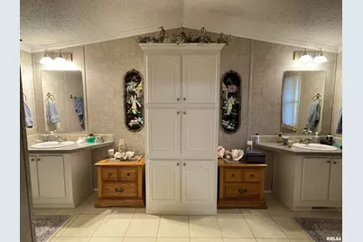 557 Twin Oaks Drive, Cobden, IL 62920 - Photo 23