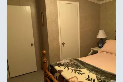 557 Twin Oaks Drive, Cobden, IL 62920 - Photo 29