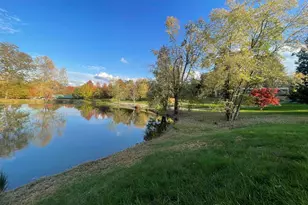 557 Twin Oaks Dr, Cobden, IL 62920 - Photo 45