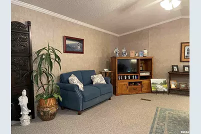 557 Twin Oaks Drive, Cobden, IL 62920 - Photo 17