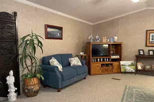 557 Twin Oaks Dr, Cobden, IL 62920 - Photo 17