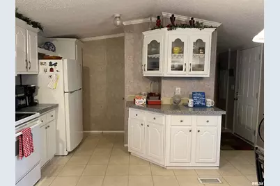 557 Twin Oaks Drive, Cobden, IL 62920 - Photo 13