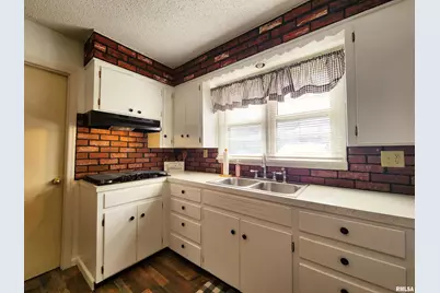 355 Chestnut Street, Alto Pass, IL 62905 - Photo 3