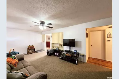 355 Chestnut Street, Alto Pass, IL 62905 - Photo 7