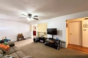 355 Chestnut St, Alto Pass, IL 62905 - Photo 7