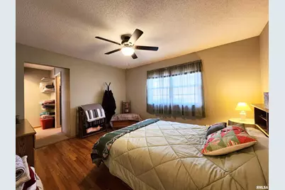 355 Chestnut Street, Alto Pass, IL 62905 - Photo 17