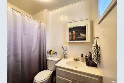 355 Chestnut Street, Alto Pass, IL 62905 - Photo 19