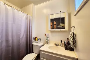 355 Chestnut St, Alto Pass, IL 62905 - Photo 19