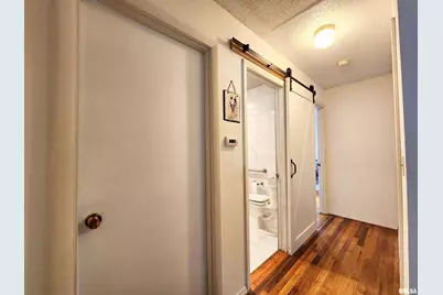 355 Chestnut Street, Alto Pass, IL 62905 - Photo 9