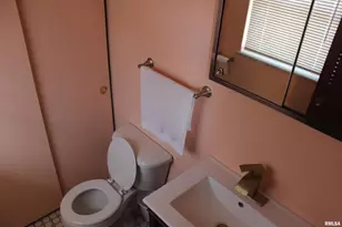 3287 Selmaville Rd Rd, Salem, IL 62881 - Photo 17