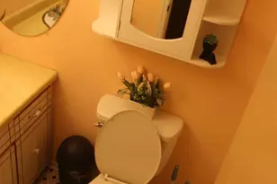 3287 Selmaville Rd Rd, Salem, IL 62881 - Photo 21