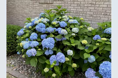 8 Dogwood Place, Harrisburg, IL 62946 - Photo 9