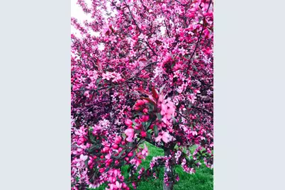 8 Dogwood Place, Harrisburg, IL 62946 - Photo 13