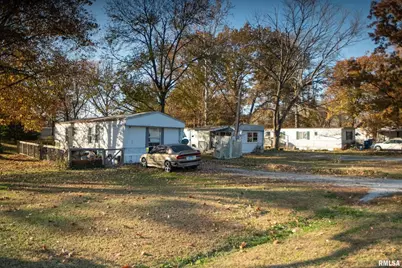 101 Poplar Street, Desoto, IL 62924 - Photo 33