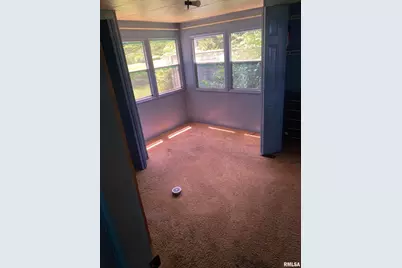 101 Poplar Street, Desoto, IL 62924 - Photo 11