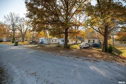 101 Poplar Street, Desoto, IL 62924 - Photo 31