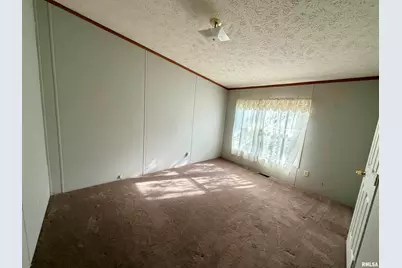 416 W Shirley Lane, Richview, IL 62877 - Photo 13