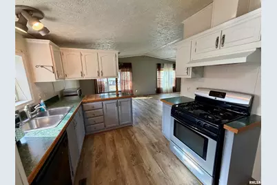 416 W Shirley Lane, Richview, IL 62877 - Photo 7