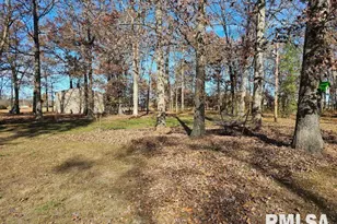 4248 Church Rd, Salem, IL 62881 - Photo 55