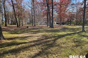 4248 Church Rd, Salem, IL 62881 - Photo 57