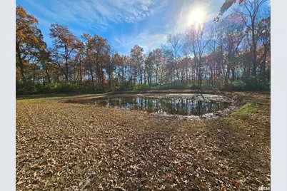 4248 Church Road, Salem, IL 62881 - Photo 33