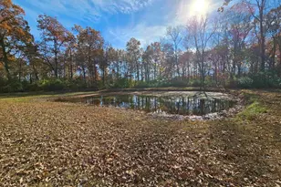 4248 Church Rd, Salem, IL 62881 - Photo 33