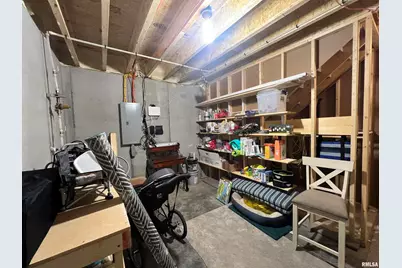 895 Lakeshore Drive N, Orangeville, IL 62939 - Photo 59