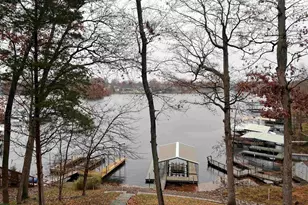 895 Lake Shore Dr N, Orangeville, IL 62939 - Photo 65