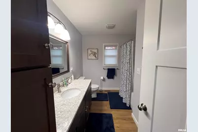 895 Lakeshore Drive N, Orangeville, IL 62939 - Photo 33