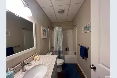 895 Lakeshore Drive N, Orangeville, IL 62939 - Photo 49