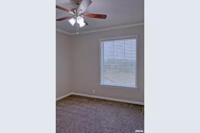 890 Gilead Church Road, Vienna, IL 62995 - Photo 37