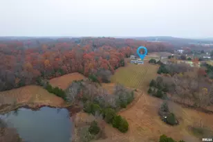 890 Gilead Church Rd, Vienna, IL 62995 - Photo 11