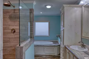 890 Gilead Church Rd, Vienna, IL 62995 - Photo 29