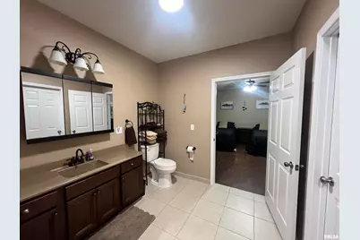 1415 S Lakeshore Drive S, Orangeville, IL 62939 - Photo 37