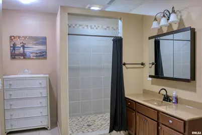 1415 S Lakeshore Drive S, Orangeville, IL 62939 - Photo 35