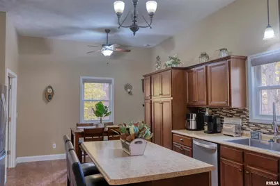 1415 S Lakeshore Drive S, Orangeville, IL 62939 - Photo 23