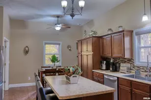 1415 S Lakeshore Dr S, Orangeville, IL 62939 - Photo 23