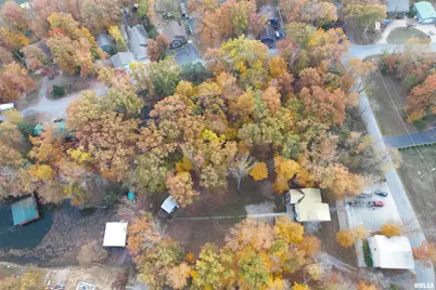 1415 S Lakeshore Drive S, Orangeville, IL 62939 - Photo 11