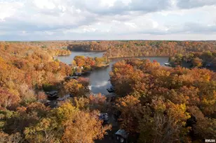 1415 S Lakeshore Dr S, Orangeville, IL 62939 - Photo 5