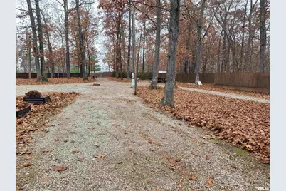 19650 N Pisque Lane, Chicago, IL 62898 - Photo 41