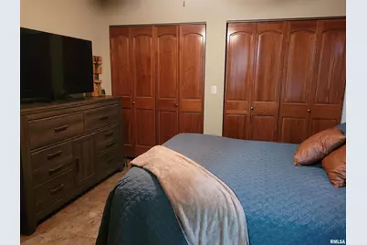 19650 N Pisque Lane, Chicago, IL 62898 - Photo 23