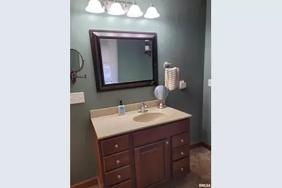 19650 N Pisque Lane, Chicago, IL 62898 - Photo 25